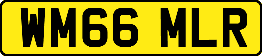 WM66MLR