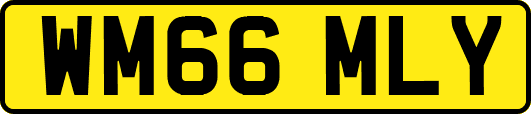 WM66MLY