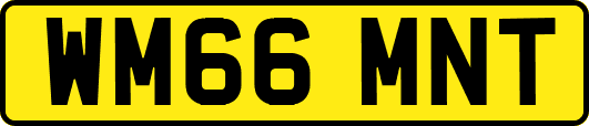 WM66MNT