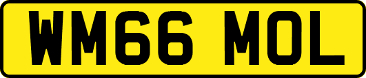 WM66MOL