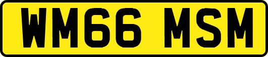 WM66MSM