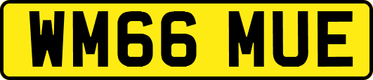 WM66MUE