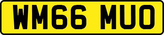 WM66MUO