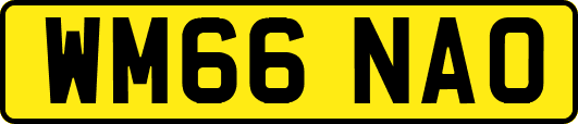 WM66NAO
