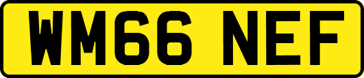 WM66NEF