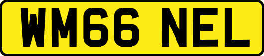 WM66NEL