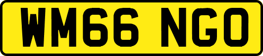 WM66NGO