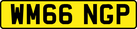 WM66NGP