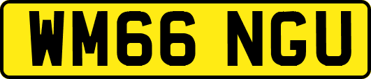 WM66NGU