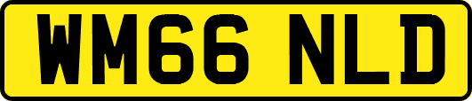 WM66NLD