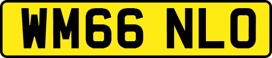 WM66NLO