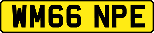 WM66NPE