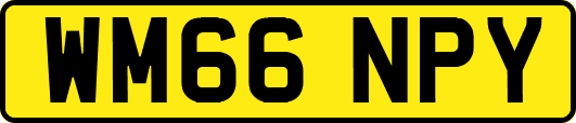 WM66NPY