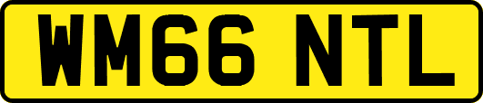 WM66NTL