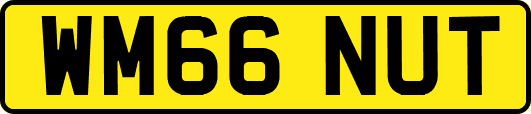 WM66NUT