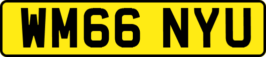 WM66NYU