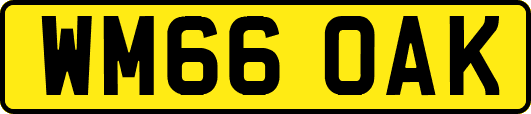 WM66OAK
