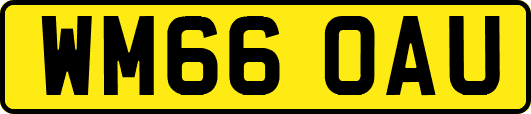 WM66OAU