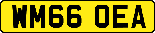 WM66OEA
