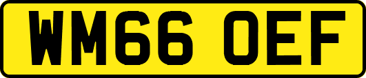 WM66OEF