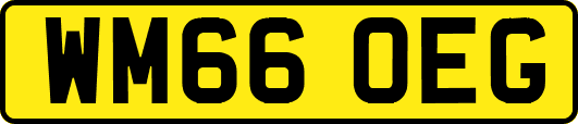 WM66OEG