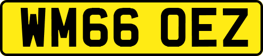 WM66OEZ