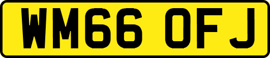 WM66OFJ