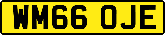 WM66OJE