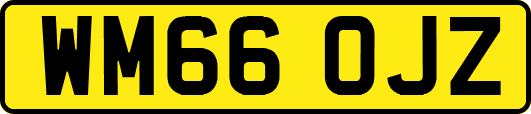 WM66OJZ