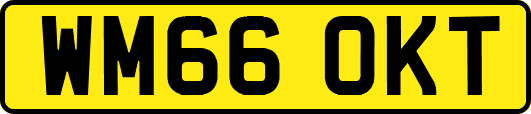 WM66OKT