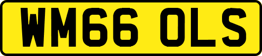 WM66OLS