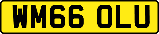 WM66OLU