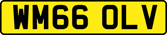 WM66OLV