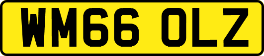 WM66OLZ