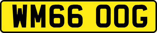 WM66OOG
