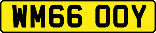WM66OOY