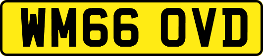 WM66OVD