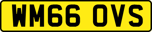 WM66OVS