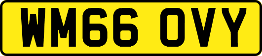 WM66OVY