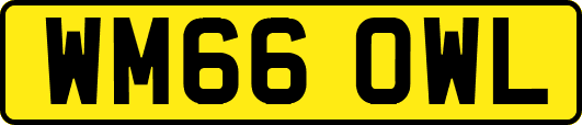WM66OWL