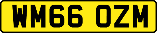 WM66OZM