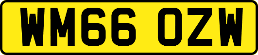 WM66OZW