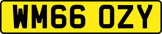 WM66OZY