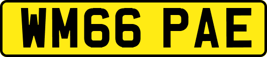 WM66PAE