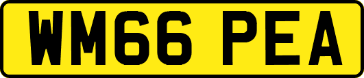 WM66PEA