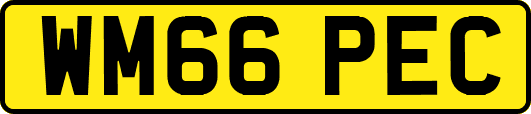 WM66PEC