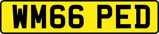 WM66PED