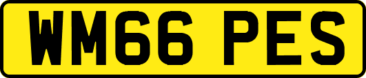 WM66PES