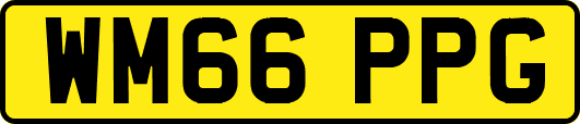 WM66PPG