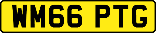 WM66PTG